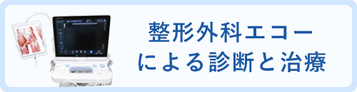 整形外科エコーによる診断と治療